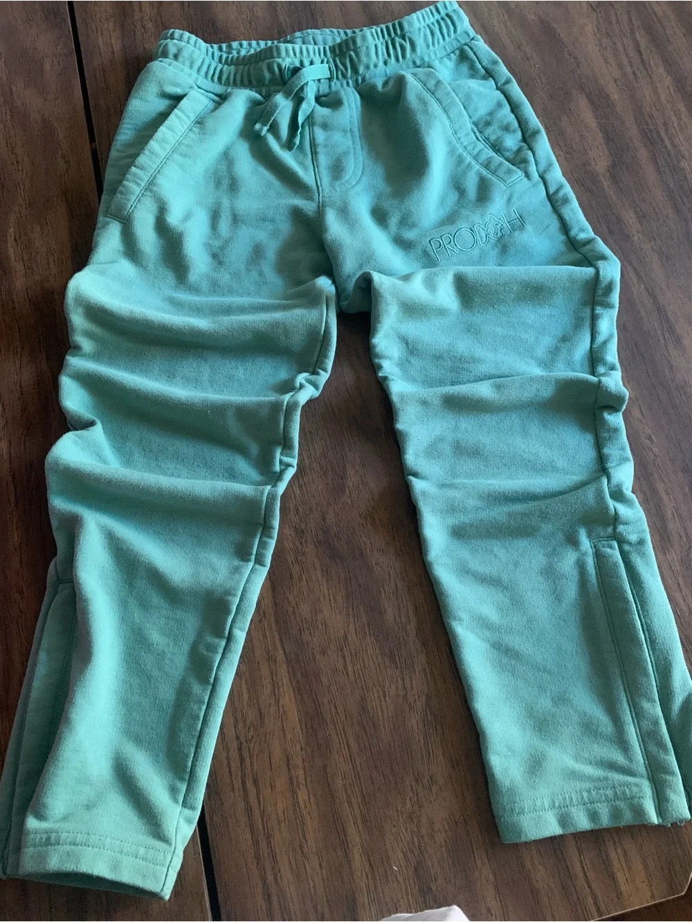 Kids Teal Proclaim Jogger Pants - Soft Pull-On Sweatpants